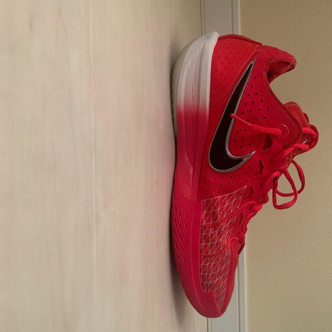 シューズ(男性用) Nike g.t cut3