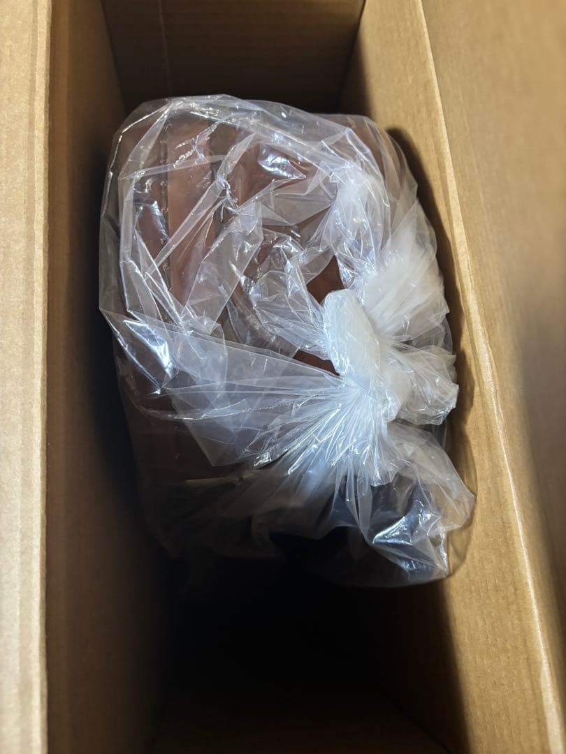 新品Epiphone エピフォン Tak 1955 Les Paul Gold