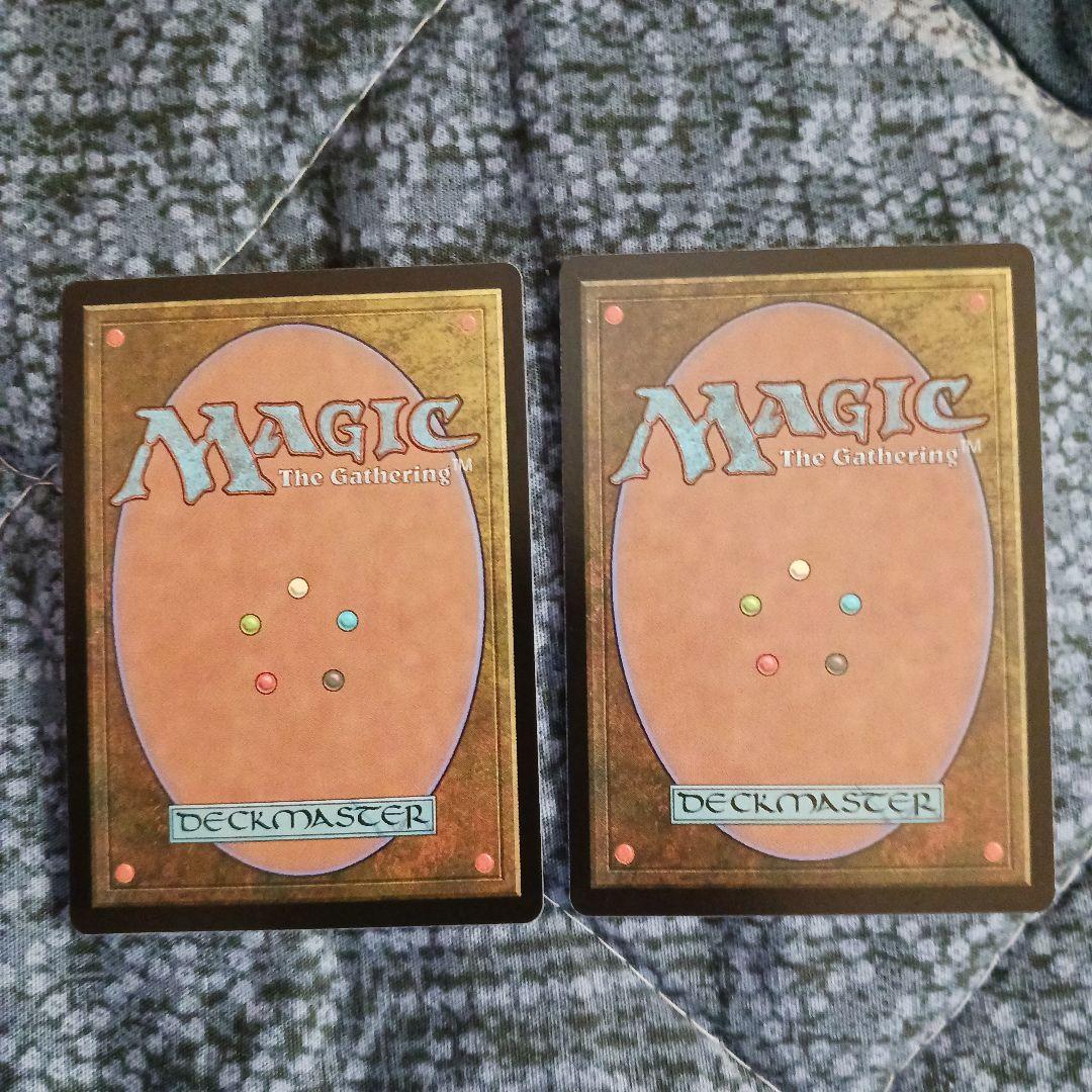 行き届いた書庫　２枚　mtg