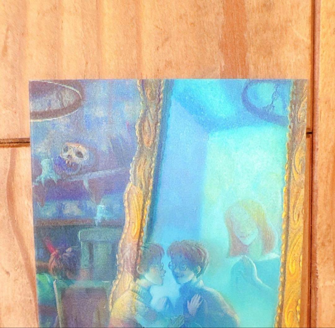 ハリーポッター　カエルチョコ　3DカードThe Potter Family