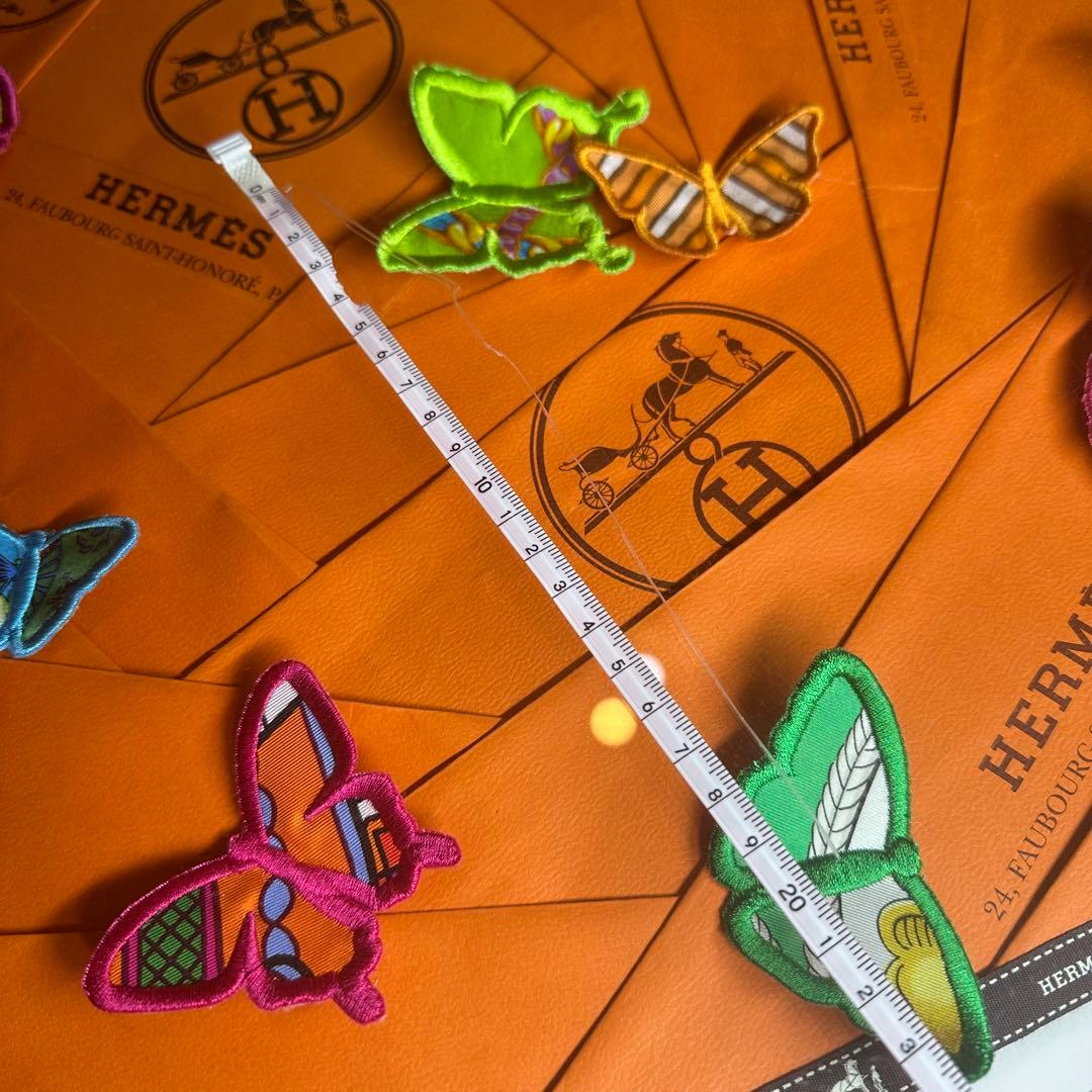 エルメス　ステファンウィルソン　アートパネル