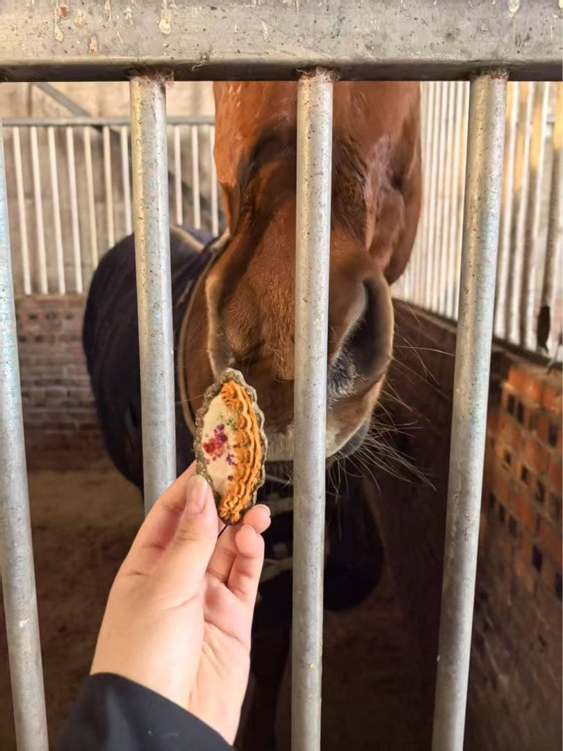 【閲覧専用】うさぎ（草食動物）おやつ紹介ページ