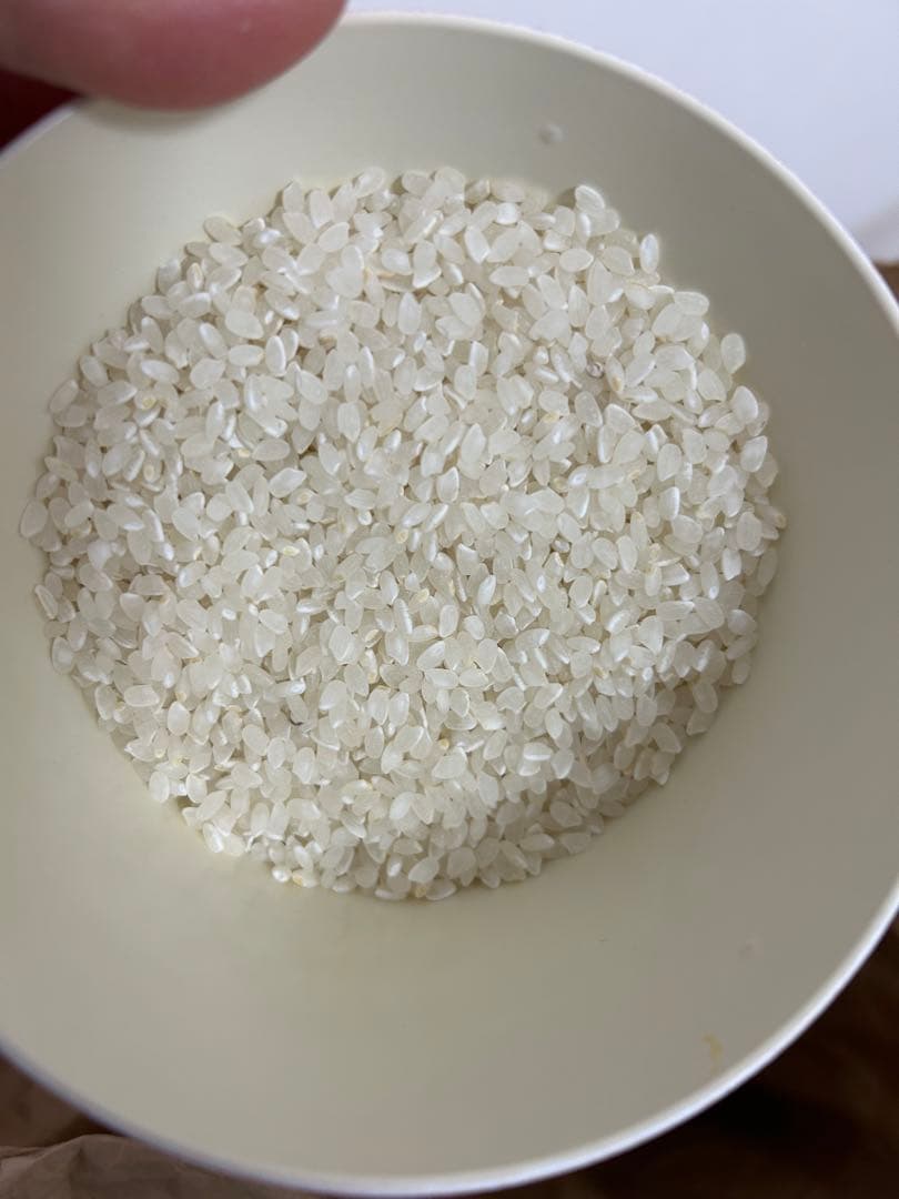 父の安全安心低農薬米こしひかり 10kg 千葉県産 令和7年