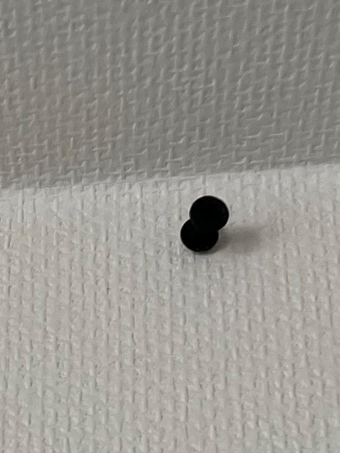 N*a様 最終価格MOMA DESIGN STORE マティス タヒチ切り絵 黒