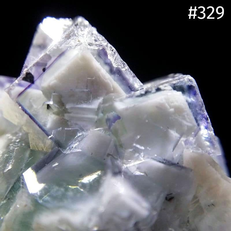 329 ポーセリンフローライト