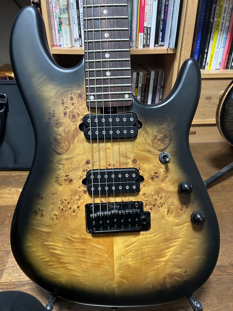 Sterling Richardson7 7弦ギター リチャードソン7