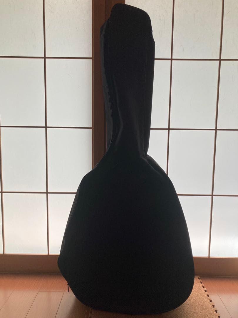 Takamine アコースティックギター pt 105