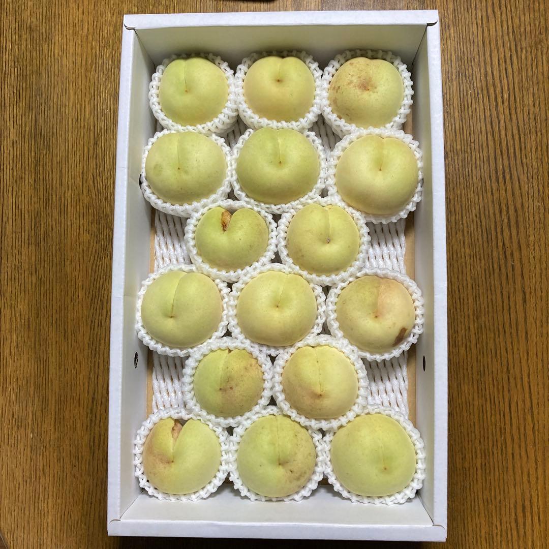 岡山産　白桃　冬桃　16玉　satomion