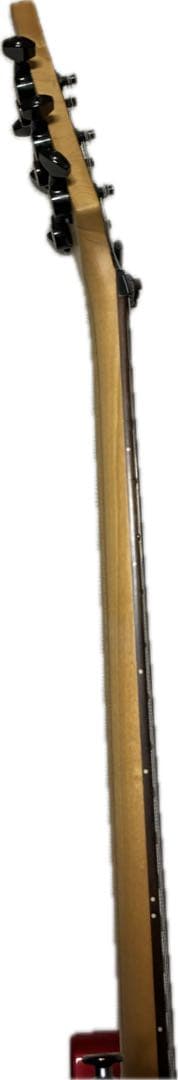 FUJIGEN エレキギター SEL-BW-DL-HSH