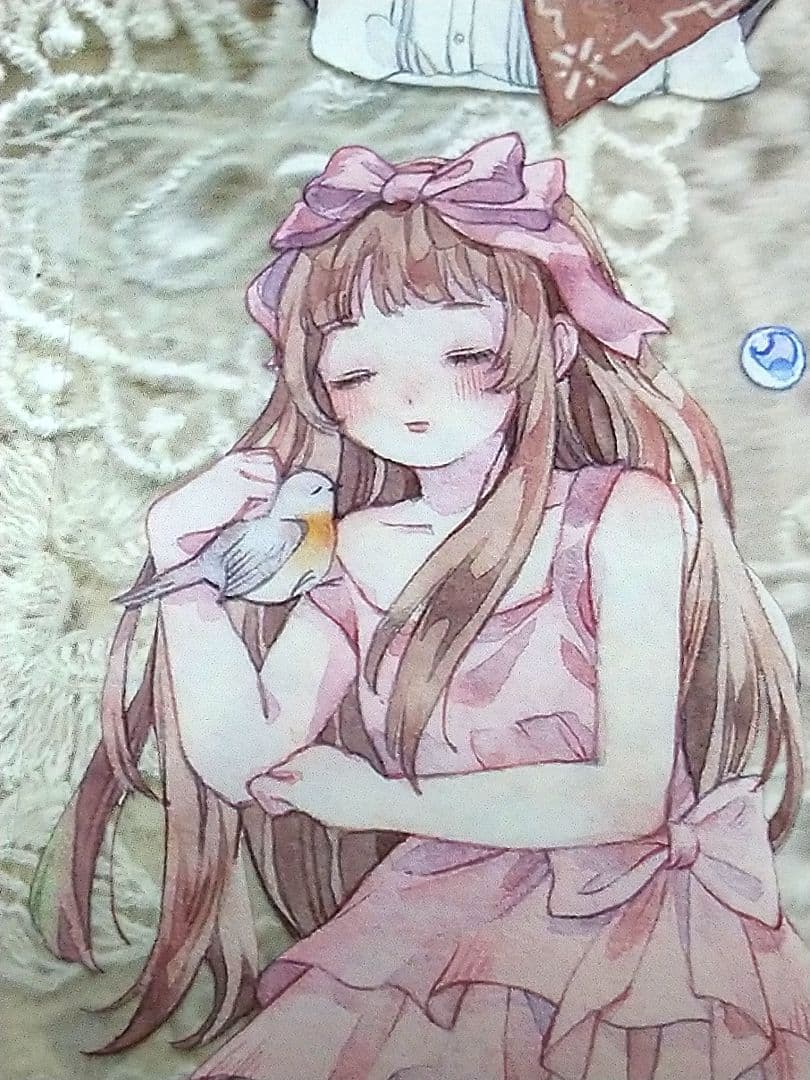 J244＃知更少女永不拖稿(PET)柚木社切り売り海外人物マステ女の子