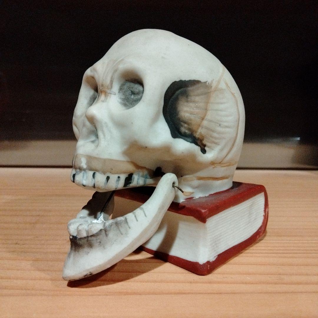 50s 10cm スカルオンブック　スカル　ドクロ　ビンテージ