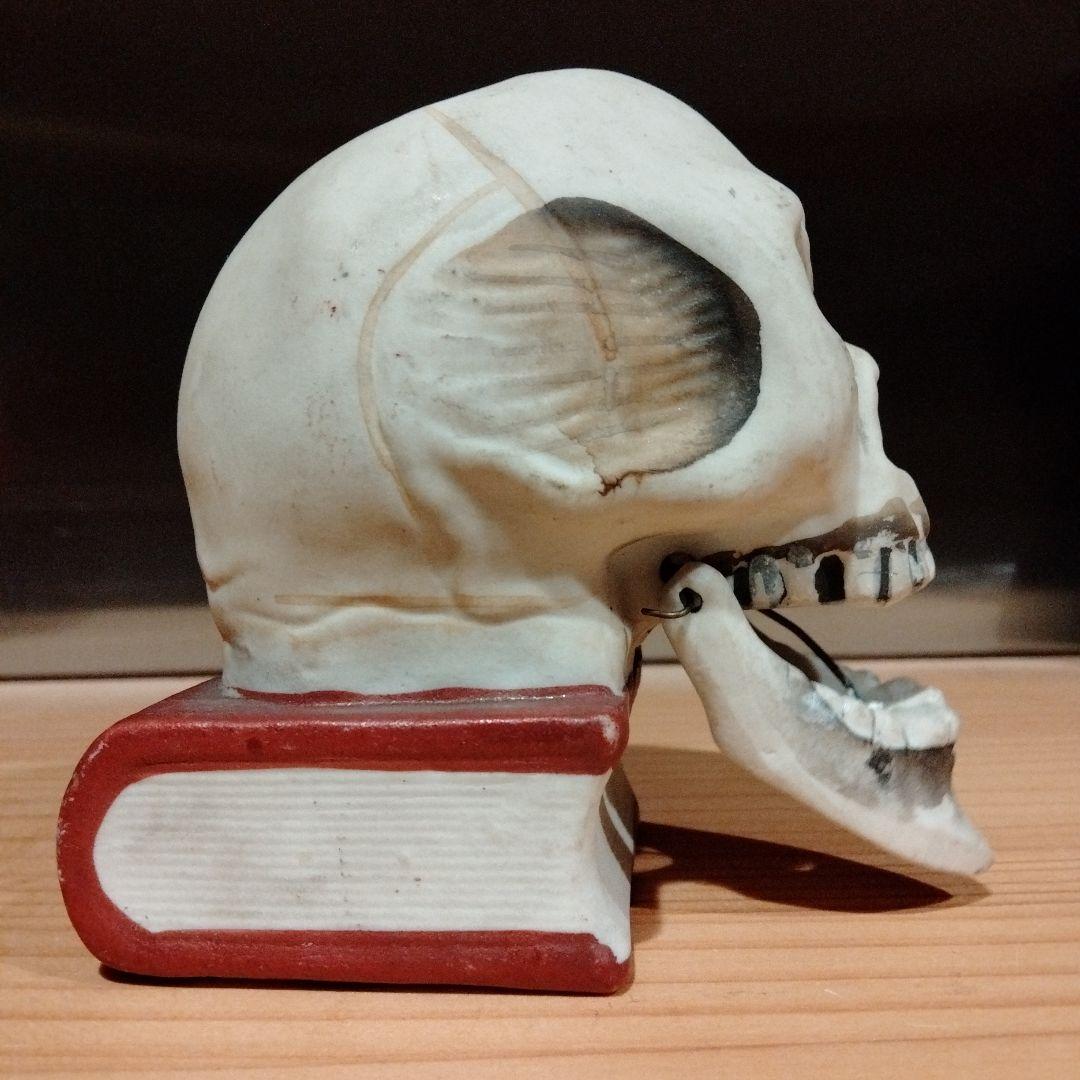 50s 10cm スカルオンブック　スカル　ドクロ　ビンテージ