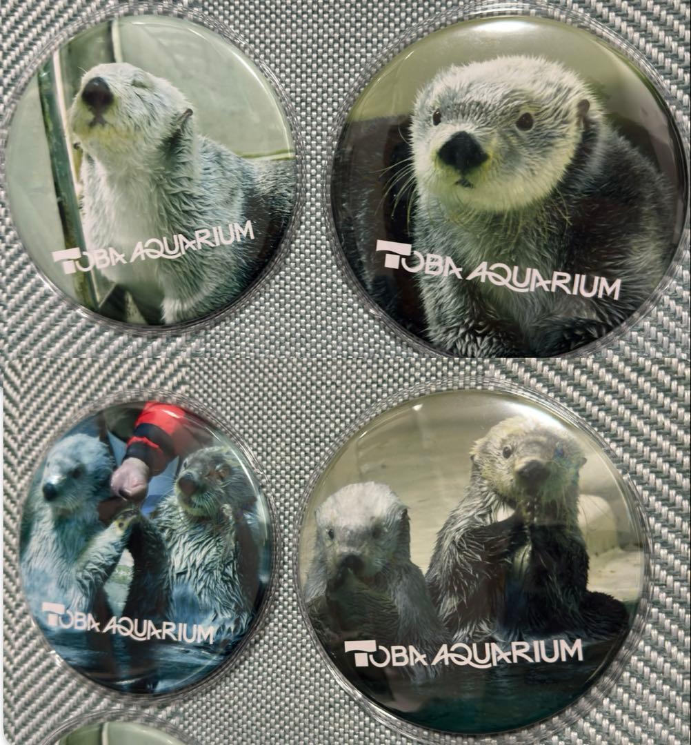 メイちゃんキラちゃん特大缶バッジ