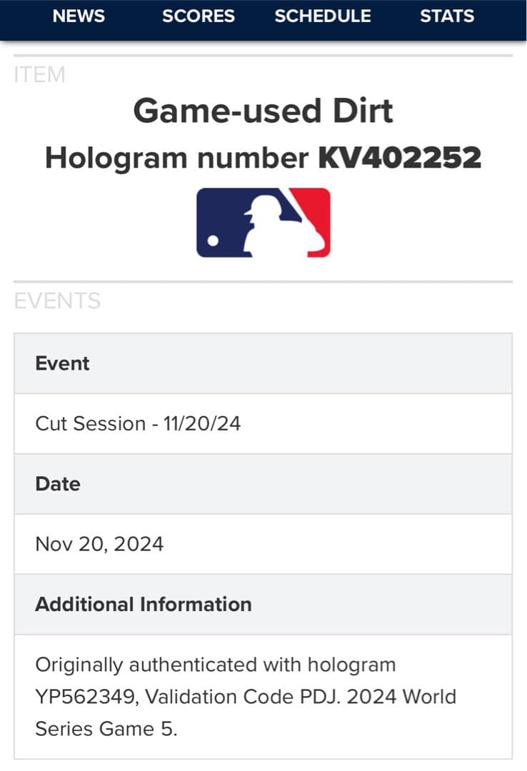 【世界500枚限定】2024年ドジャース WS優勝記念フォトパネル　実使用ボール