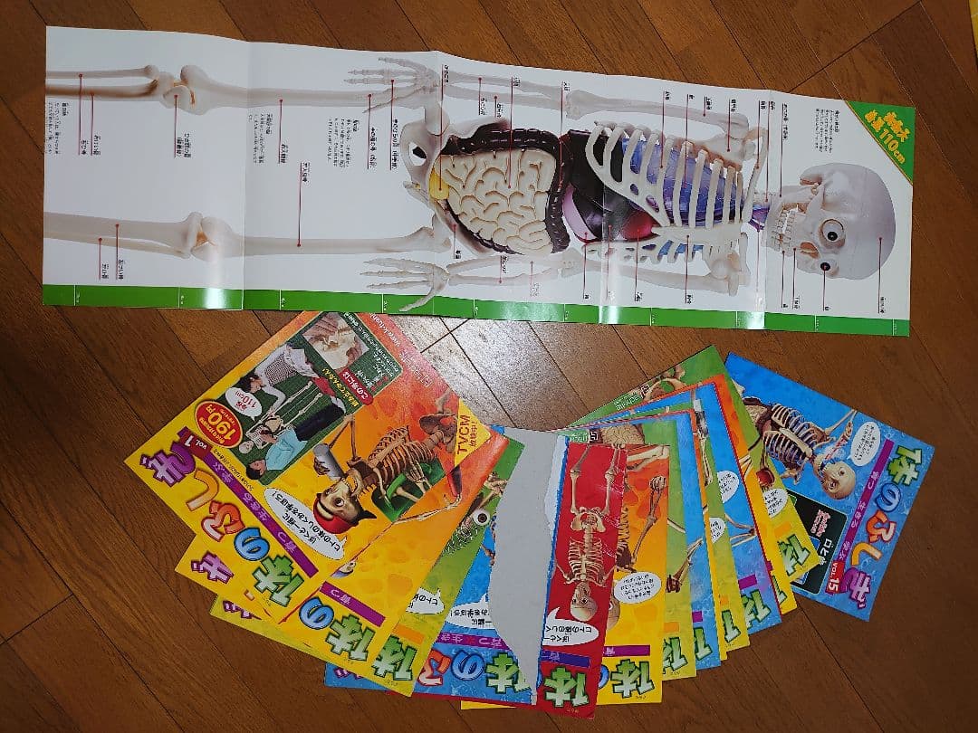 アシェット ・コレクションズ・ジャパン 体の ふしぎ