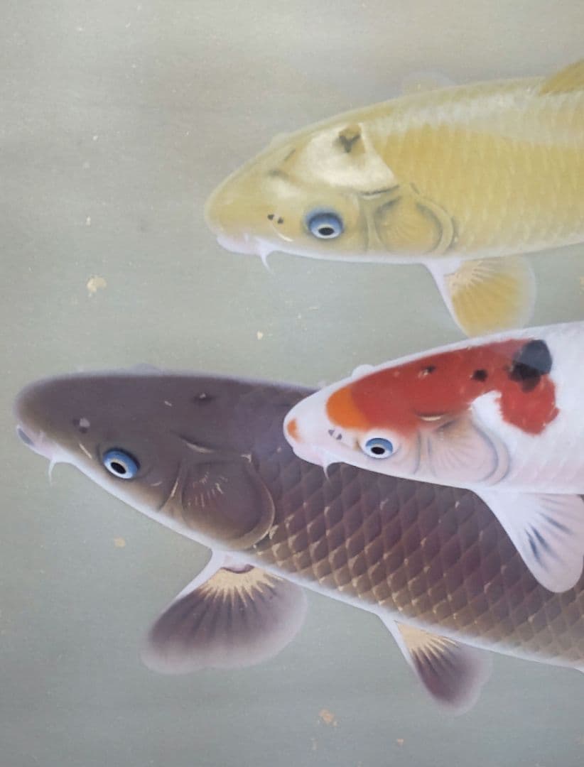 「遊鯉」太田龍一 掛軸 太巻き桐箱 二重箱入