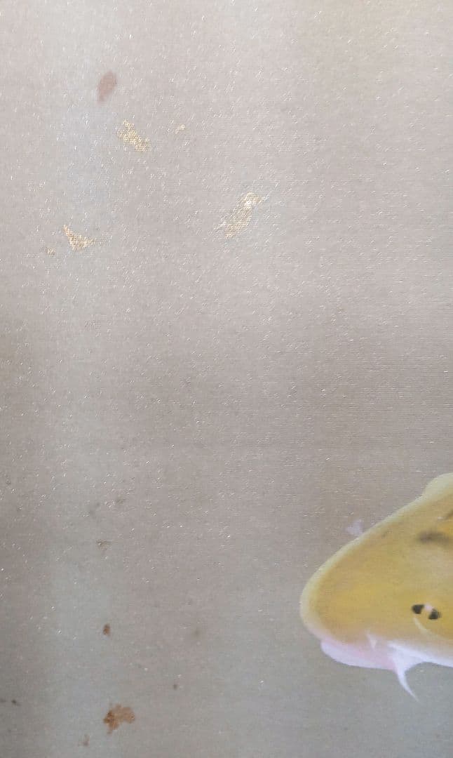 「遊鯉」太田龍一 掛軸 太巻き桐箱 二重箱入