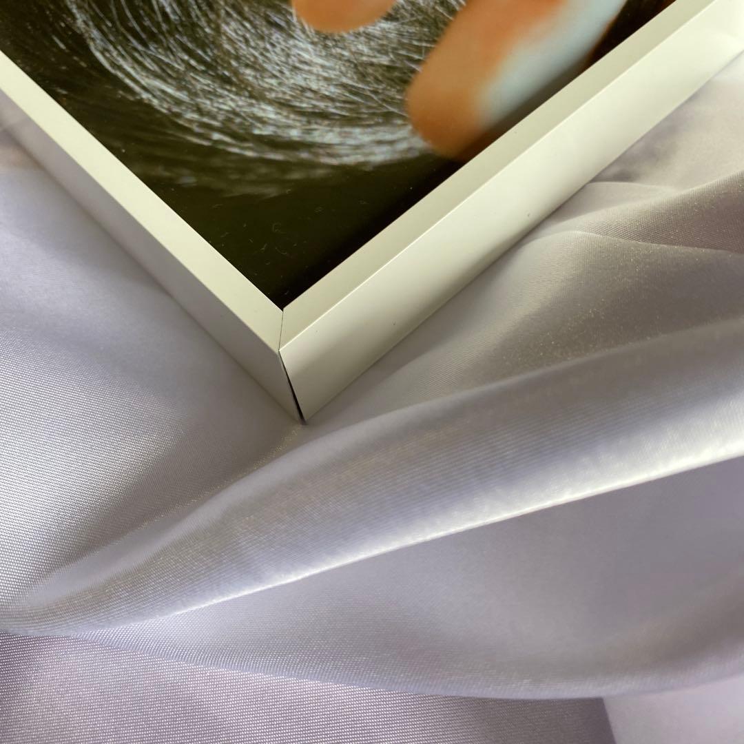 前田拳太郎　エディション版　受注生産品　レア