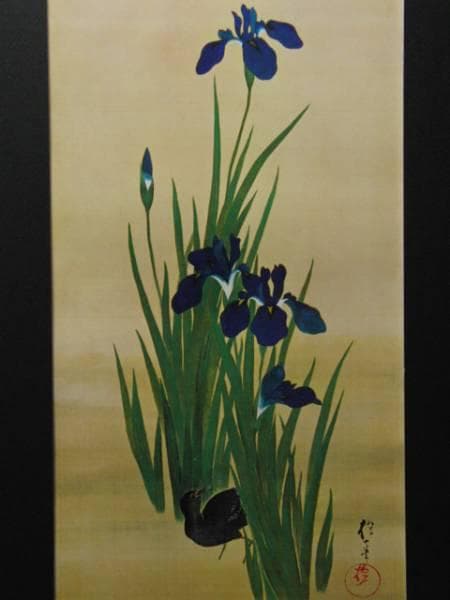 酒井抱一、菖蒲鷭図、超希少・大判画集画、新品高級額装付