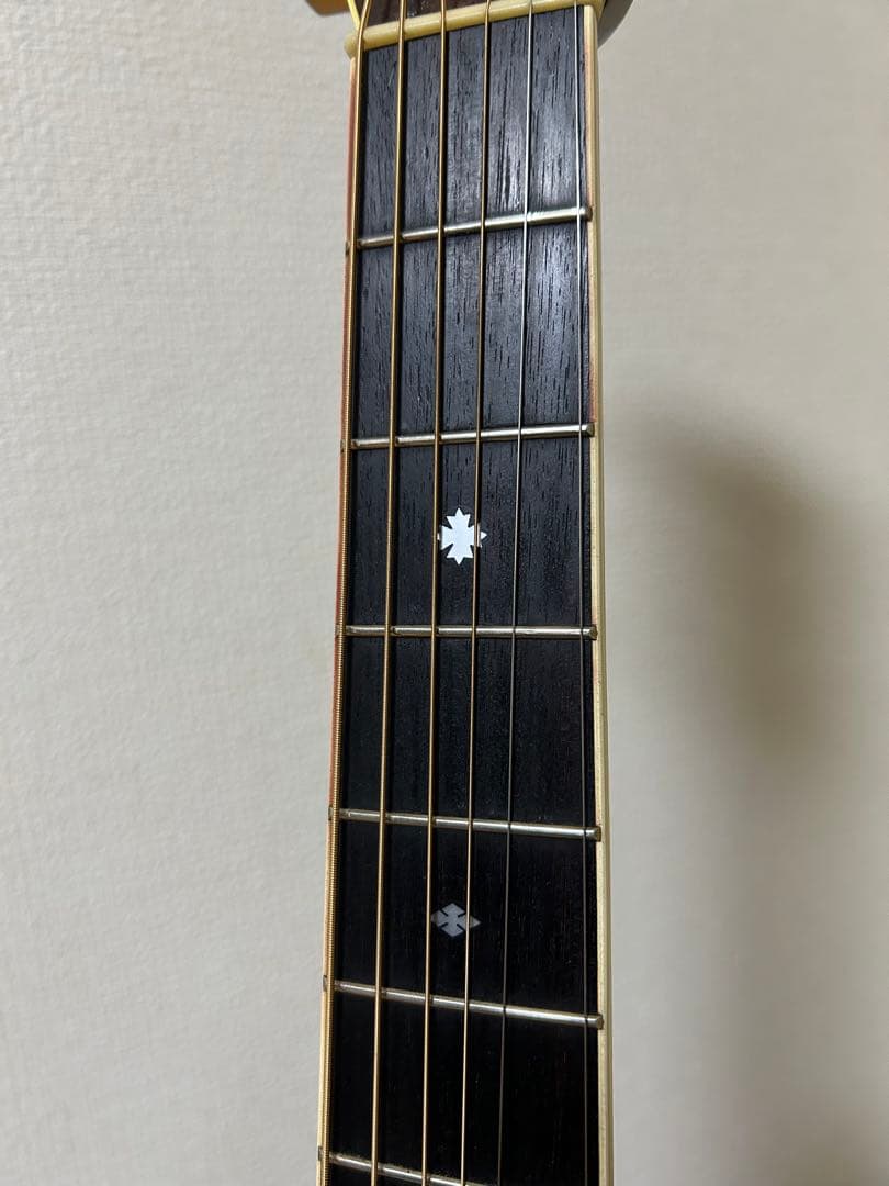 Cat's Eyes CE-500 大文字ロゴ　アコースティックギター