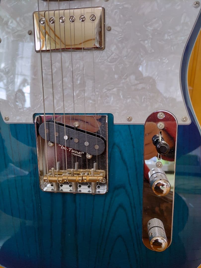 フジゲン　Neo Classic　NTE210RAH-SBB テレキャスター