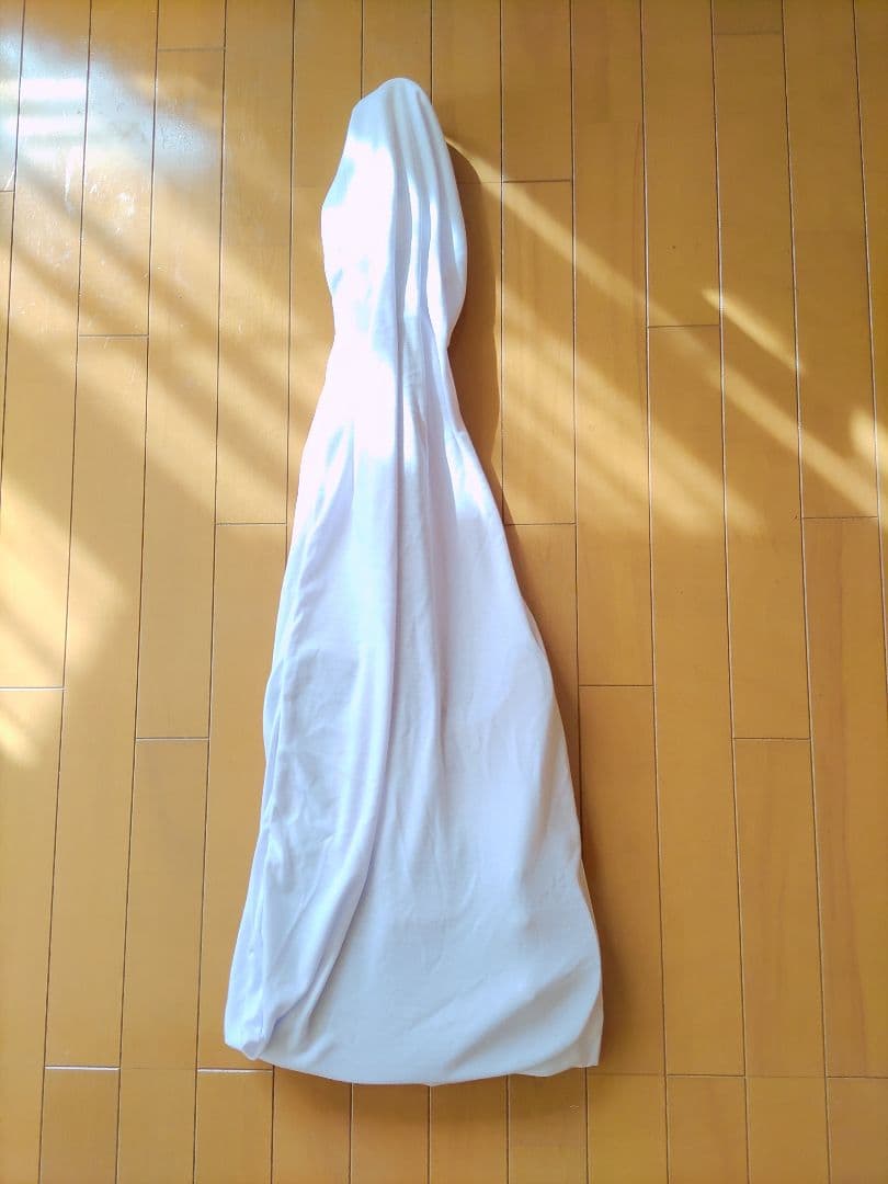 フジゲン　Neo Classic　NTE210RAH-SBB テレキャスター