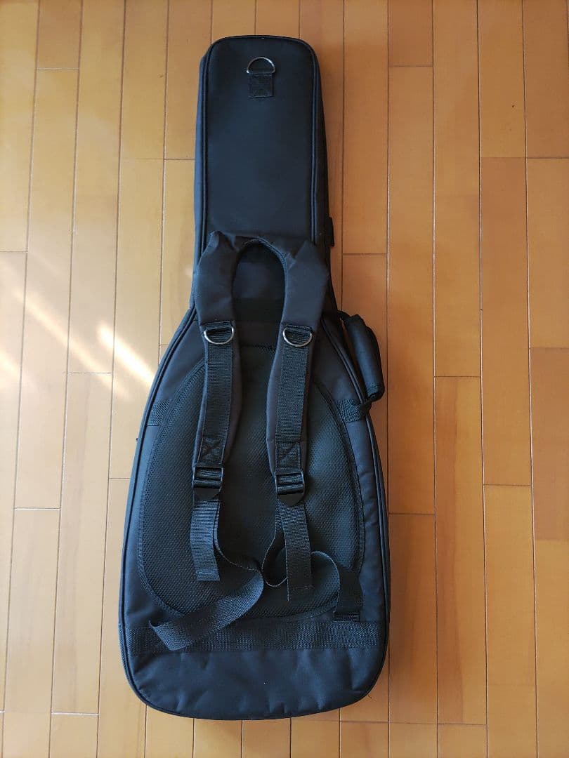 フジゲン　Neo Classic　NTE210RAH-SBB テレキャスター