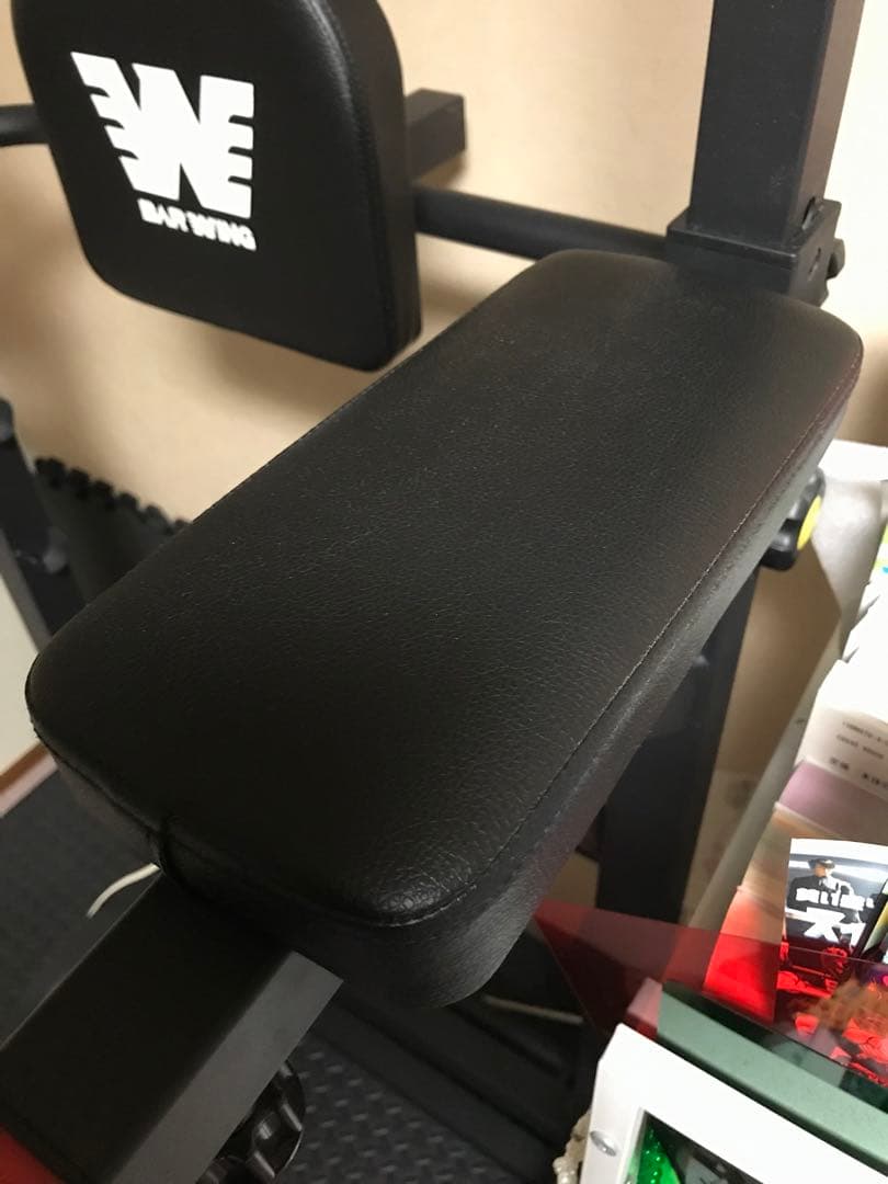 【tazima】BAW WING 懸垂バー付き