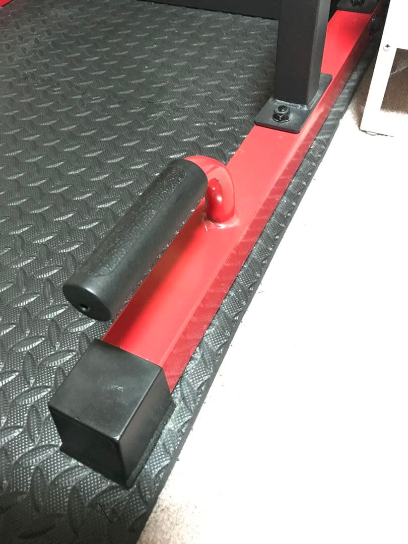 【tazima】BAW WING 懸垂バー付き