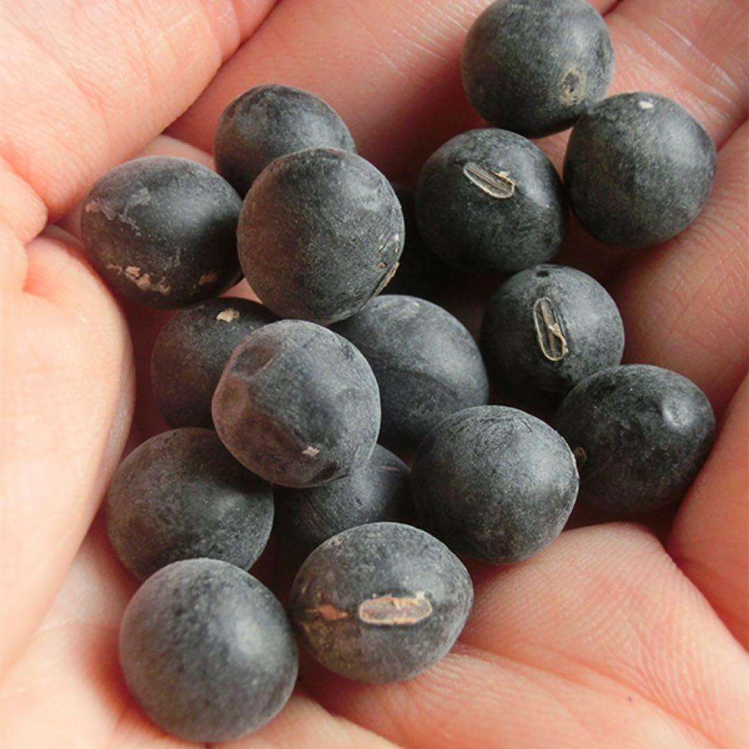 えびちゃん 令和7年産　丹波黒大豆　特大1キロ　九谷焼き小皿5枚