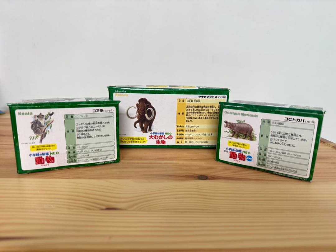 【新品未開封】アニア　ケナガマンモス　コアラ　コビトカバ親子
