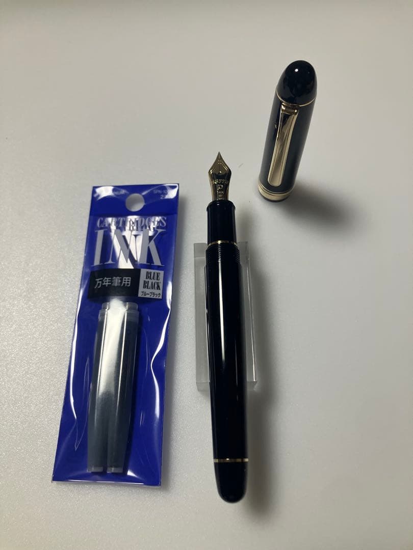 PLATINUM　#3776　センチュリー　ブラックインブラック　SF-nib