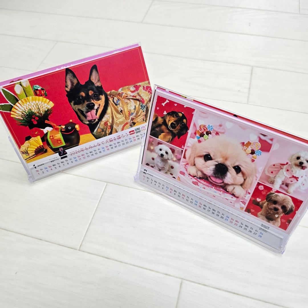 ①『犬』 卓上チャリティーカレンダー10枚セット
