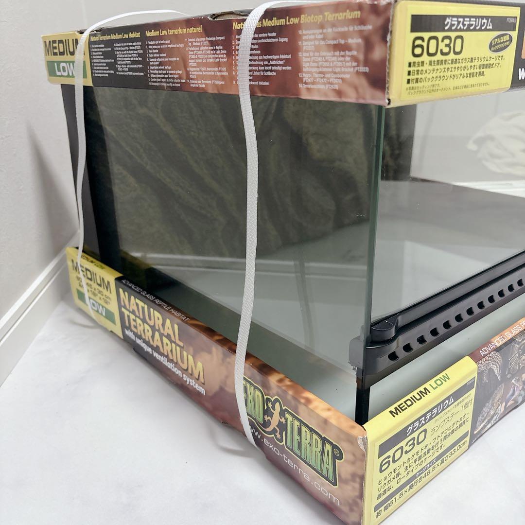 爬虫類　ケージ　ＧＥＸ　エキゾテラ　グラステラリウム　６０３０