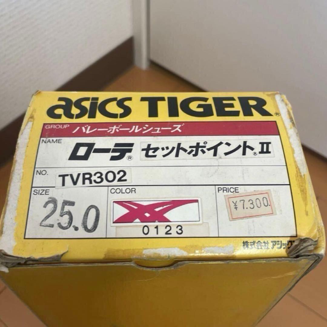 アシックスタイガー バレーボールシューズ ローテセットポイントⅡ 24.0cm