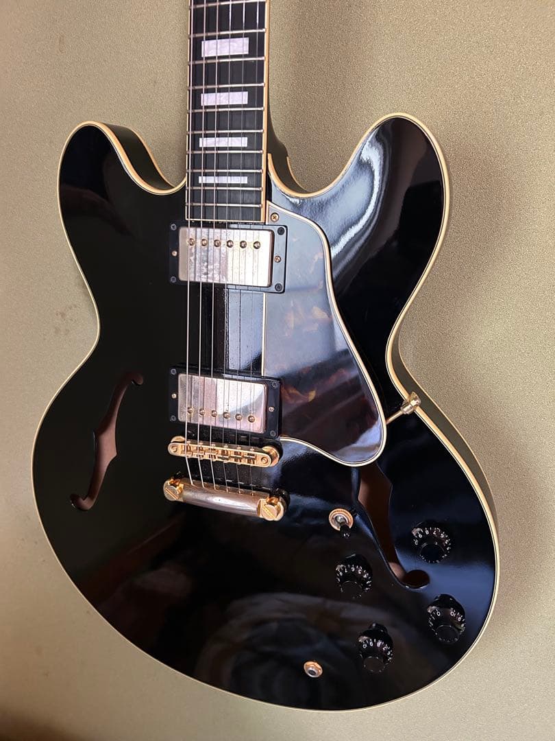 VGセミアコースティックギター ブラック寺田楽器