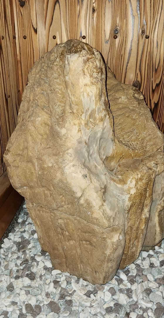珪化木 木化石 パワーストーン オブジェ 置物 化石 大型 希少