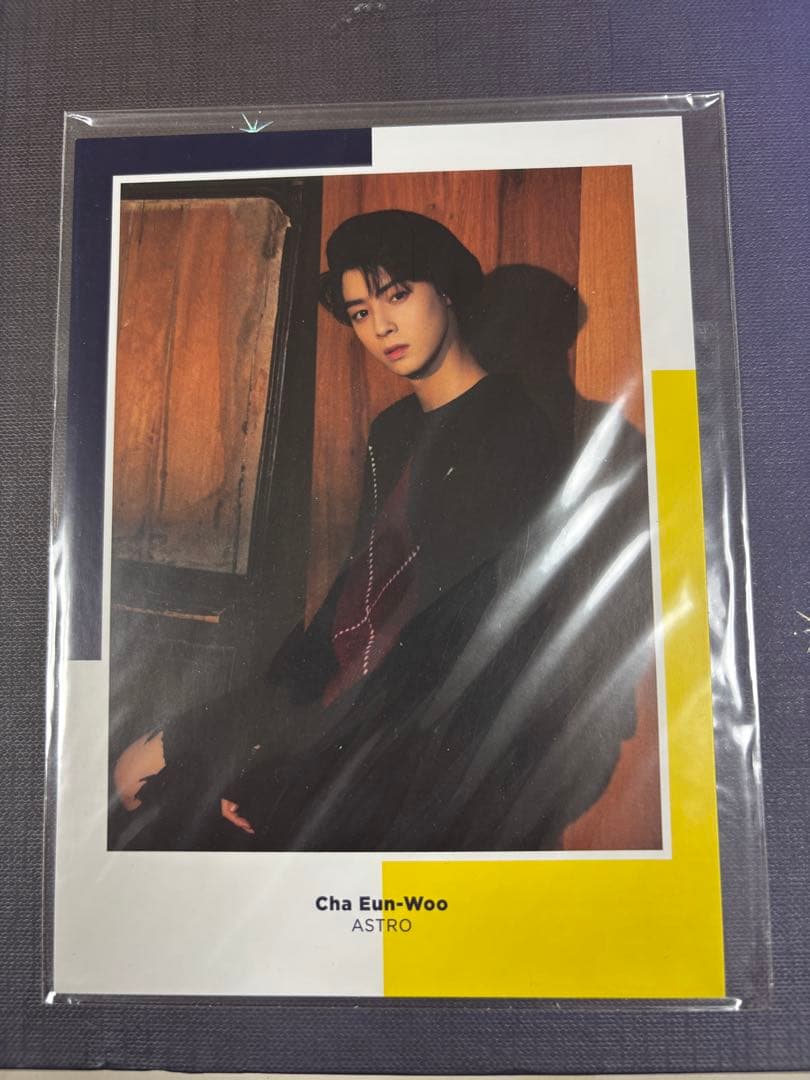 【希少】ASTRO 写真集 one fine day チャウヌ　トレカ
