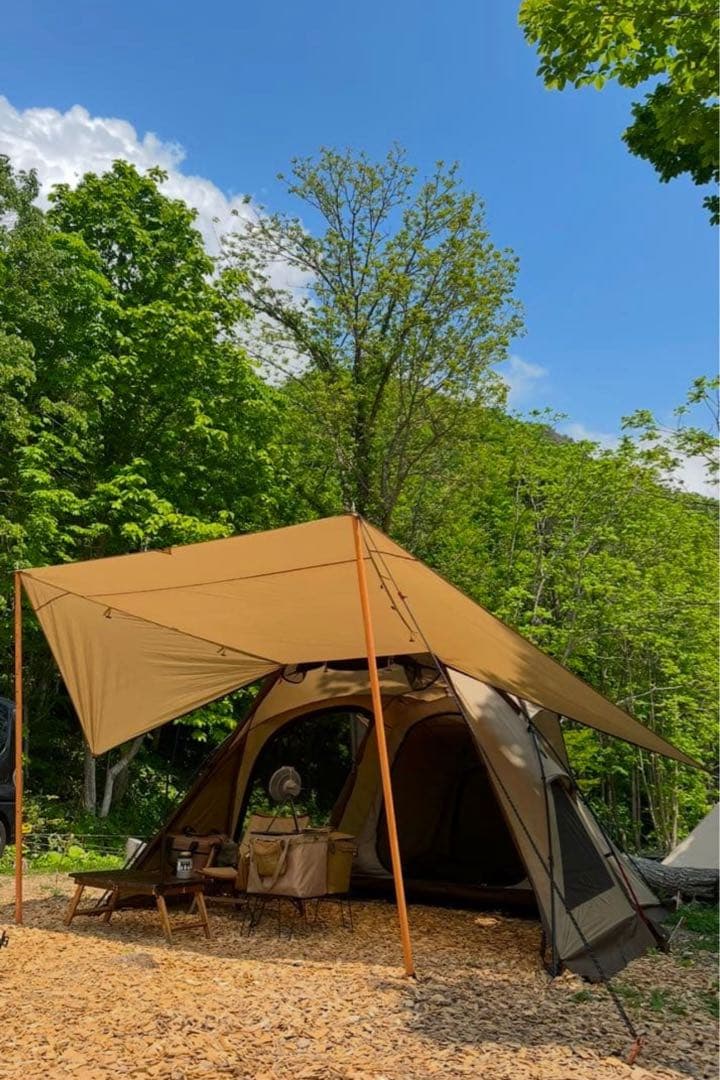 美品　オガワ　ヴィガスⅡ