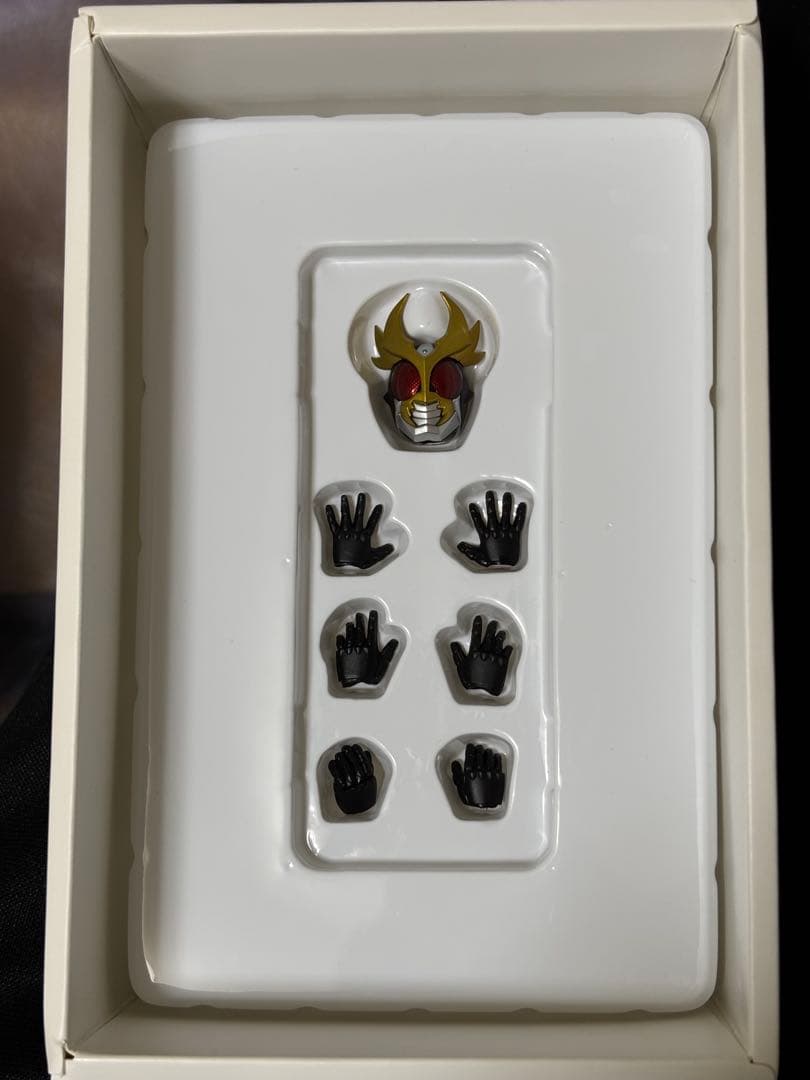 S.H.Figuarts 真骨彫製法 仮面ライダーアギト グランドフォーム