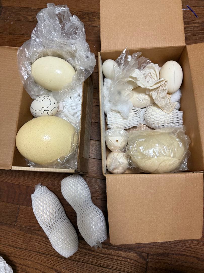 まとめ売り　エッグアート材料　卵　土台