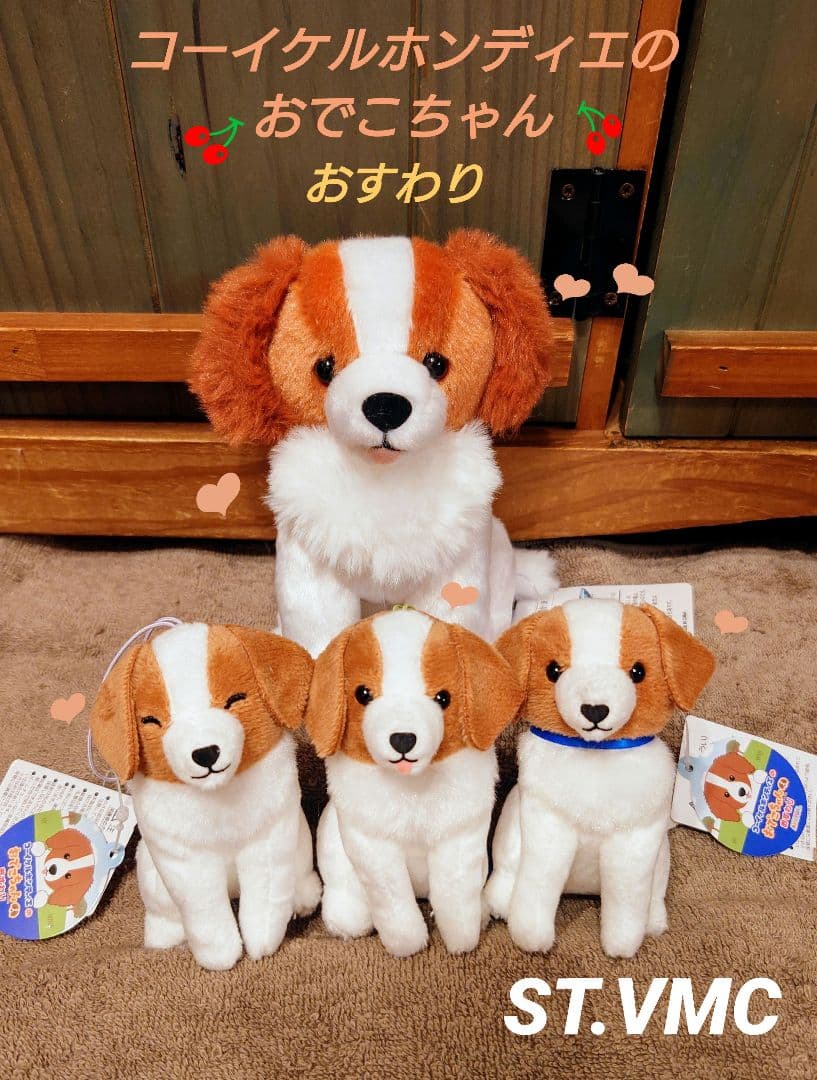 コーイケルホンディエのおでこちゃん おすわり ST.VMC 大谷翔平
