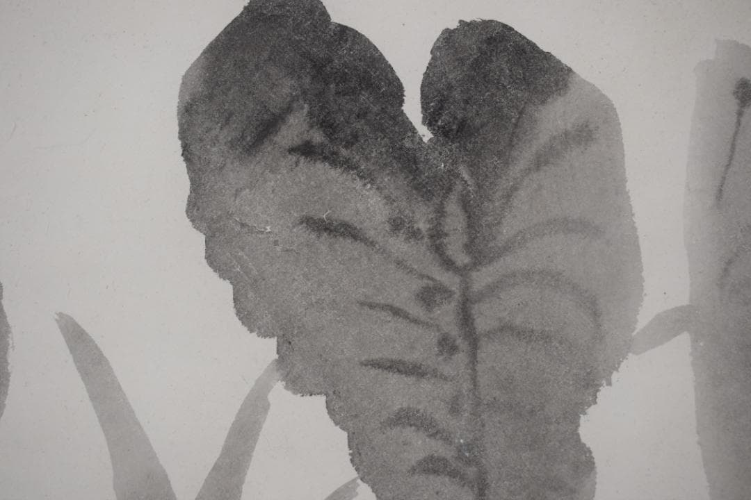 【真作】富田渓仙/瑞喜/ズイキ図/扇面/横物/掛軸☆宝船☆Z-102