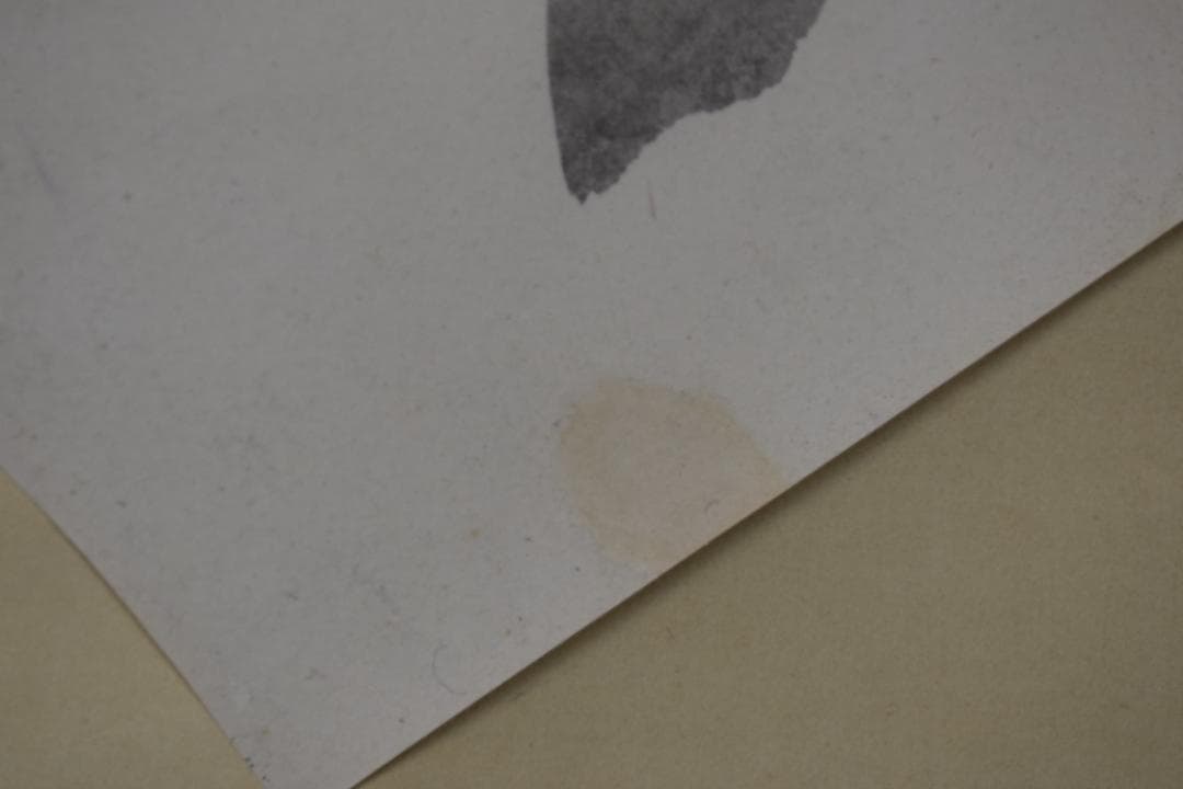 【真作】富田渓仙/瑞喜/ズイキ図/扇面/横物/掛軸☆宝船☆Z-102