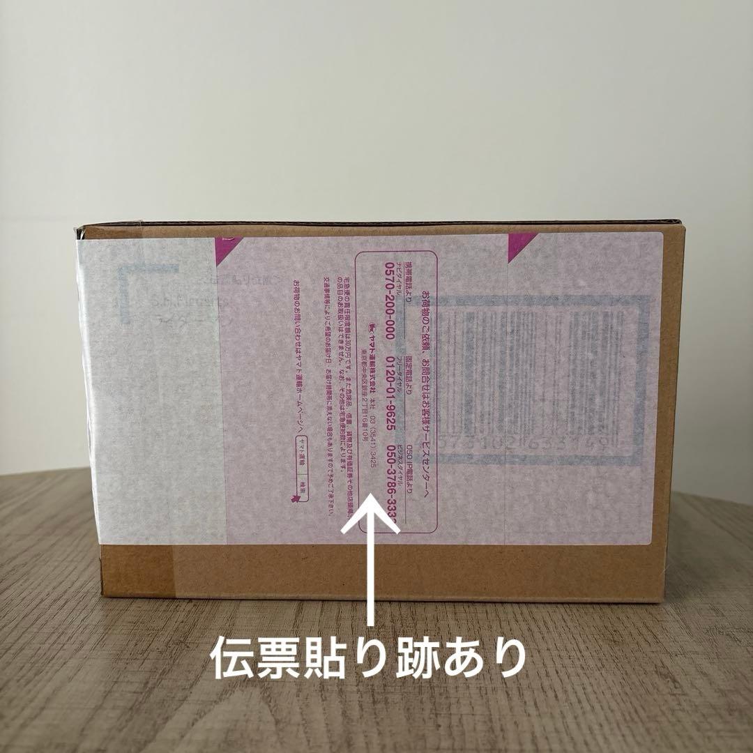 S.H.Figuarts 真骨彫製法 ライダーマン