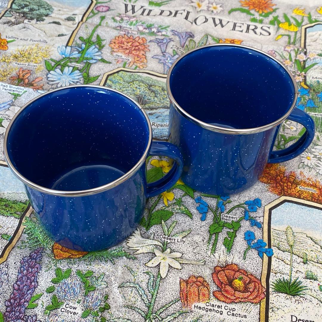 GSI ジーエスアイ　パイオニア　ホーロー 食器セット　（※１２点セット）