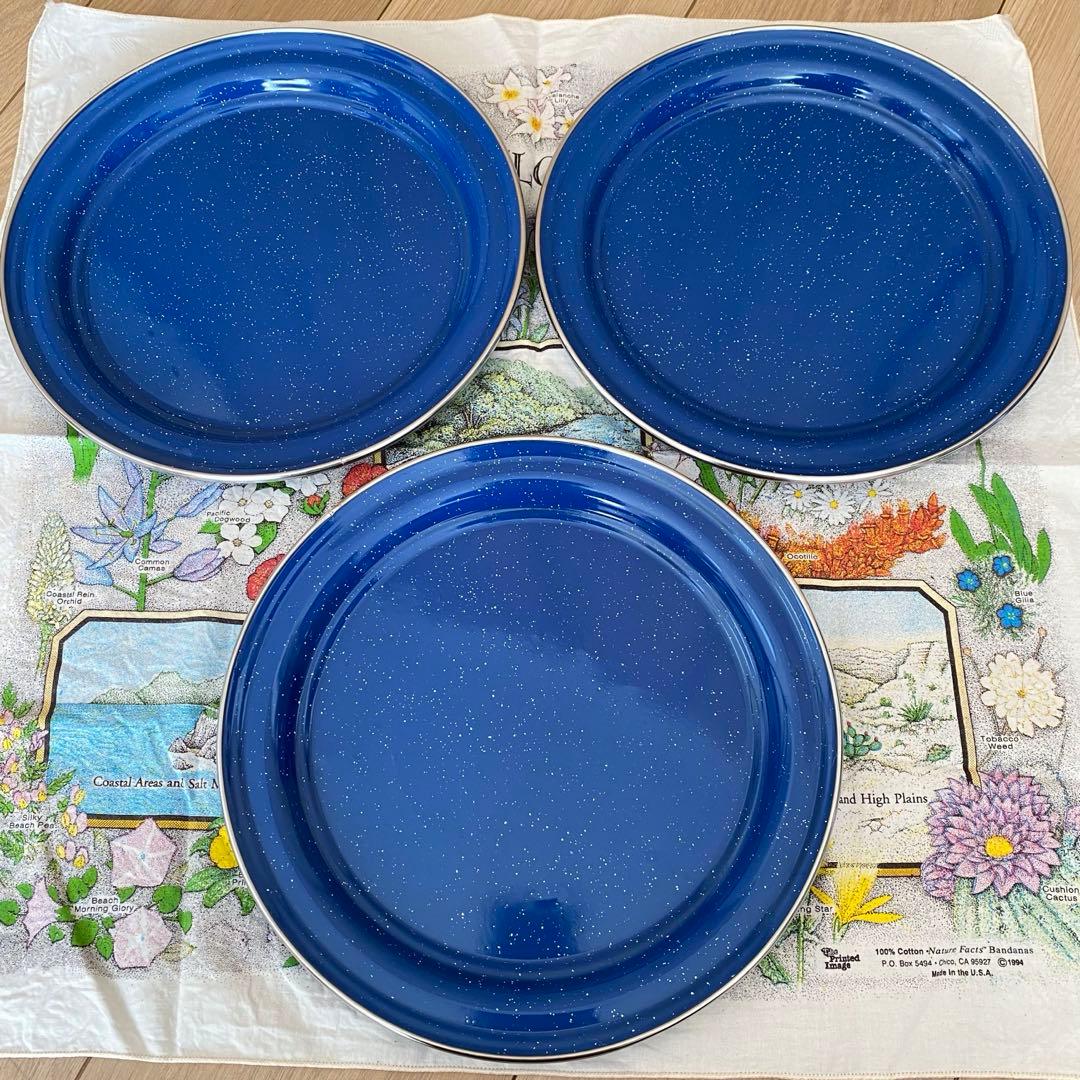 GSI ジーエスアイ　パイオニア　ホーロー 食器セット　（※１２点セット）