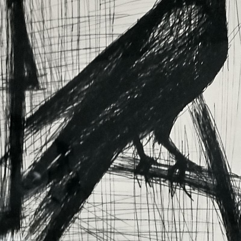 ☆ビュッフェ☆「 鳥 」リトグラフ　ed 70/75 良好！