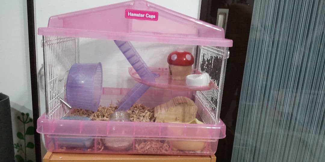 ハムスター飼育セット 移動ケージ付き