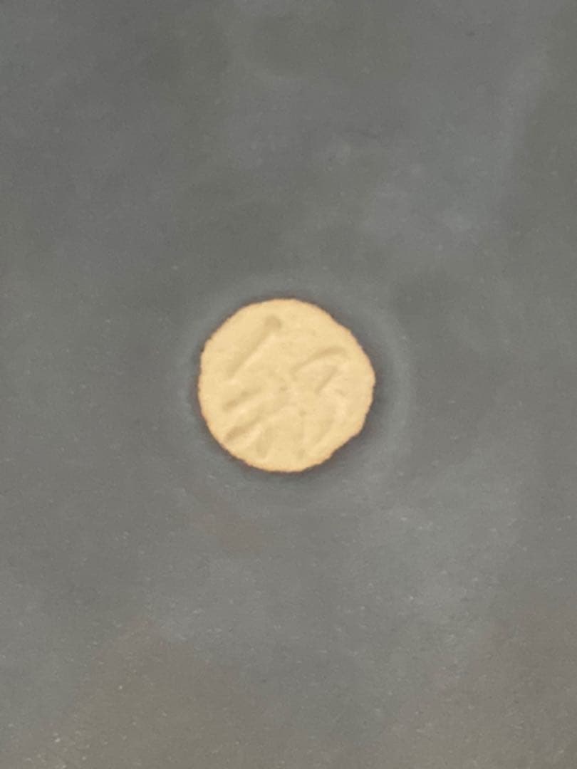 骨董品 灰皿 アンティーク iQOS タバコ